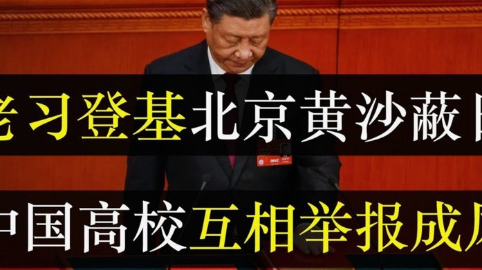 国家报：皇马矛盾源于阿隆索下课，支持与反对的就此分裂
